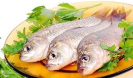 小鱼爱吃鱼最新爆料图片,最新爆料图片曝光，美食诱惑引网友热议